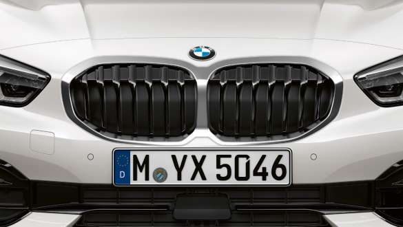 Parrilla doble del BMW Serie 1. Parilla doble del BMW Serie 1 Modelo Sport Line en Mineral White metálico.